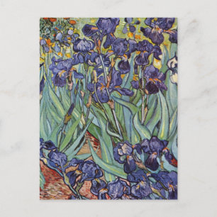 Van Gogh Irissen Impressionistisch Schilderij Briefkaart