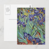 Van Gogh Irissen Impressionistisch Schilderij Briefkaart (Voorkant / Achterkant)