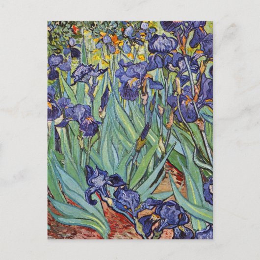 Van Gogh Irissen Impressionistisch Schilderij Briefkaart (Voorkant)