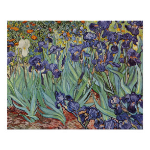 Van Gogh Irissen Impressionistisch Schilderij Perfect Poster
