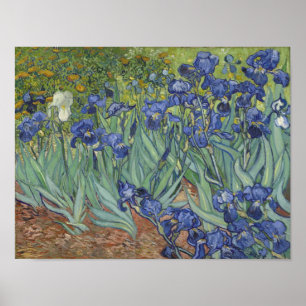 Van Gogh Irissen Poster