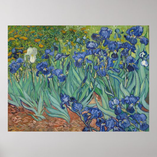 Van Gogh Klassiek Schilderij Irissen Floral Botani Poster (Voorkant)