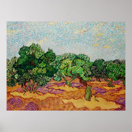 Van Gogh - Olijfbomen, Poster (Voorkant)