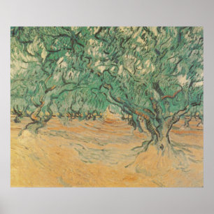 Van Gogh olijfboomgaard - saliegroene natuur kunst Poster