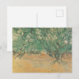 Van Gogh olijfgaard - saliegroen natuurkunst Briefkaart