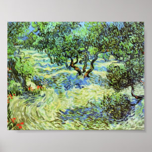 Van Gogh - Olive Grove - Bright Blue Sky Poster