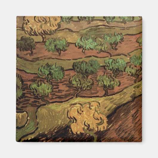 Van Gogh Olive Trees tegen een helling van een heu Magneet (Voorkant)