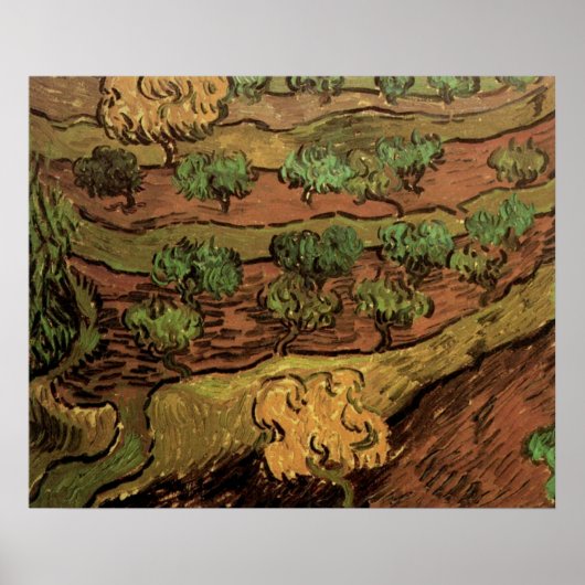 Van Gogh Olive Trees tegen een helling van een heu Poster (Voorkant)