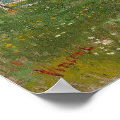 Van Gogh - Orchard in Blossom (plum Trees) Poster (Hoek)