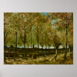 Van Gogh Populieren bij Nuenen Landschap Poster
