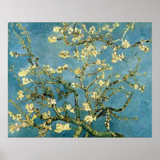 Van Gogh Poster Almond Blossom (Voorkant)