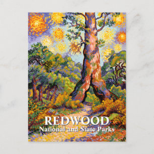 Van Gogh Redwood National Park Boslandschap Briefkaart