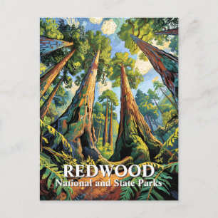 Van Gogh Redwoods Park Californië Poster Stijl Briefkaart