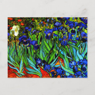 Van Gogh schilderij, Irises, Briefkaart
