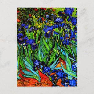 Van Gogh schilderij, Irises, Briefkaart
