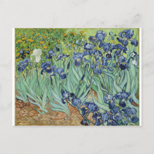 Van Gogh Stilleven: vaas met irissen Briefkaart