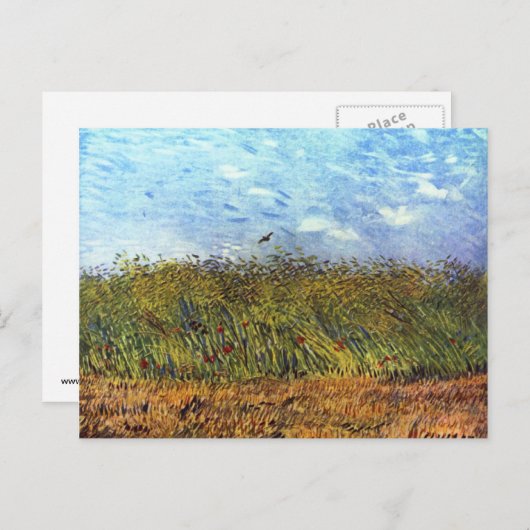 Van Gogh: Tarweveld met oppies en Lark Briefkaart (Voorkant / Achterkant)