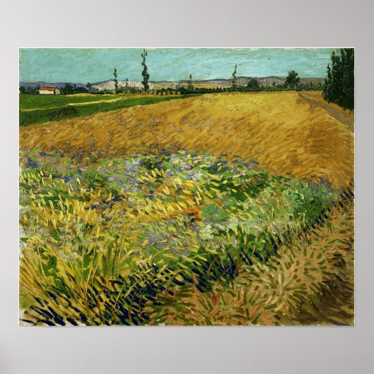 Van Gogh - Tarweveld Poster (Voorkant)