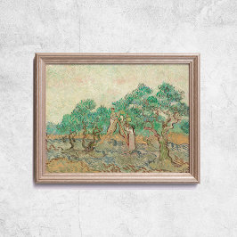 Van Gogh The Olive Orchard Trees Old Art Poster