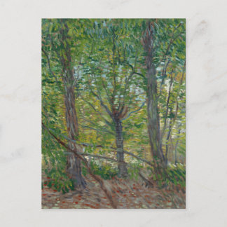Van Gogh Trees en Underwood(F307) Fine Art Briefkaart
