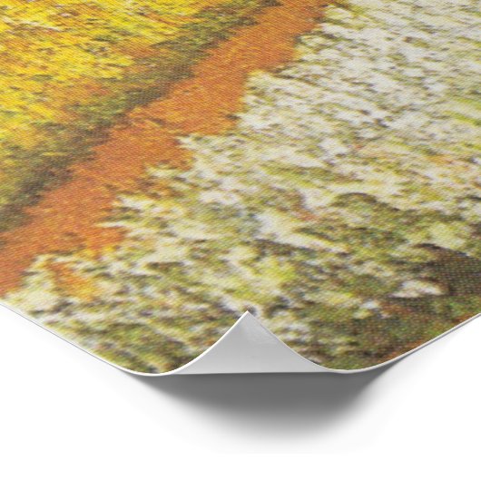 Van Gogh Tulip Fields Afbeelding Print (Hoek)