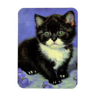 Van Gogh Tuxedo Kitten Magneet