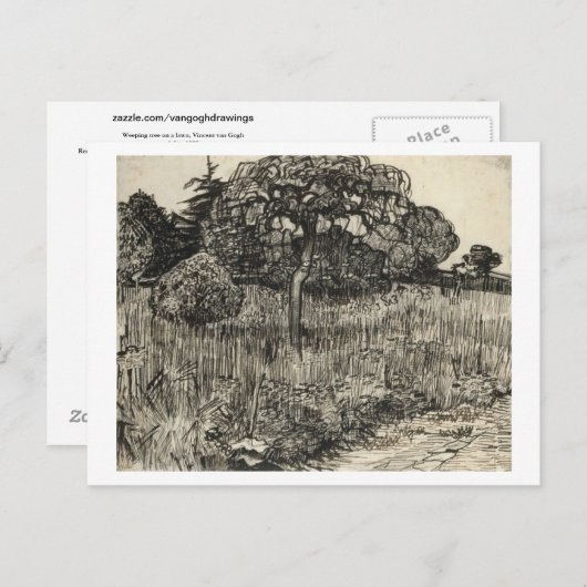 Van Gogh Weeping Tree on a Lawn Briefkaart (Voorkant / Achterkant)