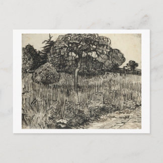 Van Gogh Weeping Tree on a Lawn Briefkaart