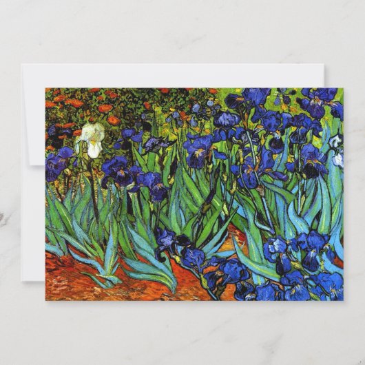 Van Gogh - Wenskaart Irises (Voorkant)