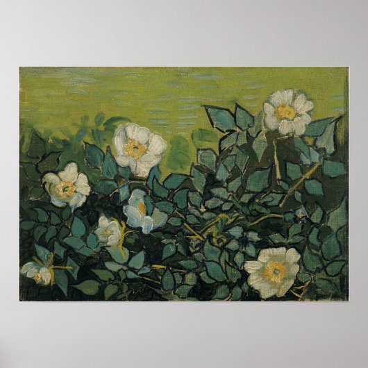 Van Gogh - Wilde Rozen Poster (Voorkant)