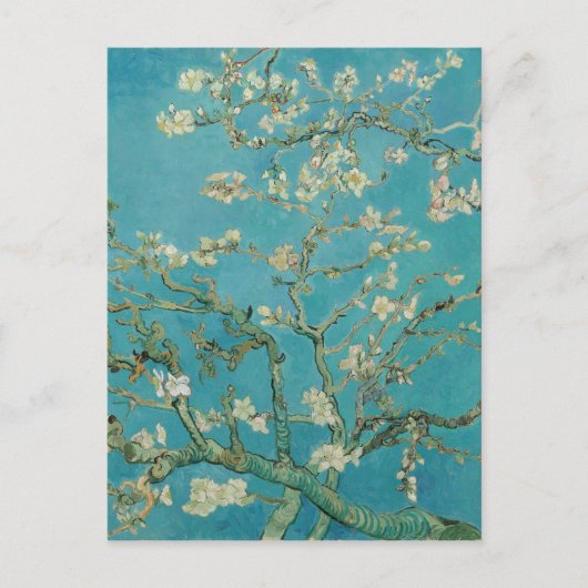Van gogh's Almond Blossom Briefkaart (Voorkant)