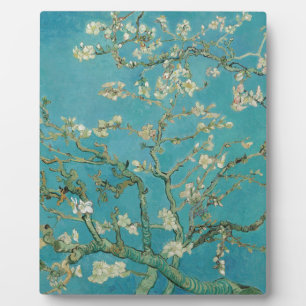 Van gogh's Almond Blossom Fotoplaat