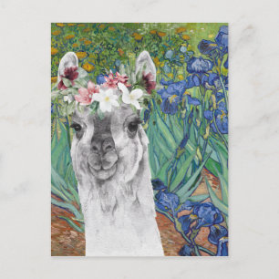 Van Gogh's Irises en Fancy Llama Briefkaart
