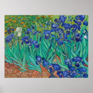 Van Gogh's Irissen Poster