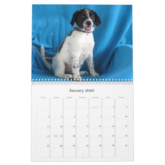 Van Harlan naar Veilige handen Kalender (Jan 2026)