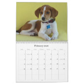 Van Harlan naar Veilige handen Kalender (Feb 2026)