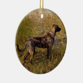 Van het Aangepaste Ornament van de Dog (Rechts)