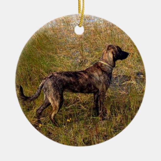 Van het Aangepaste Ornament van de Dog (Voorkant)