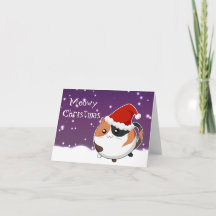 Van het Kerstmiscalico van Kawaii het katkat