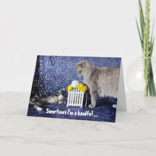 Van het Kind (of de kat) dat een handvol is - Pap Kaart