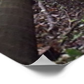 Van het Poster van het Landschap Landschap van het (Hoek)