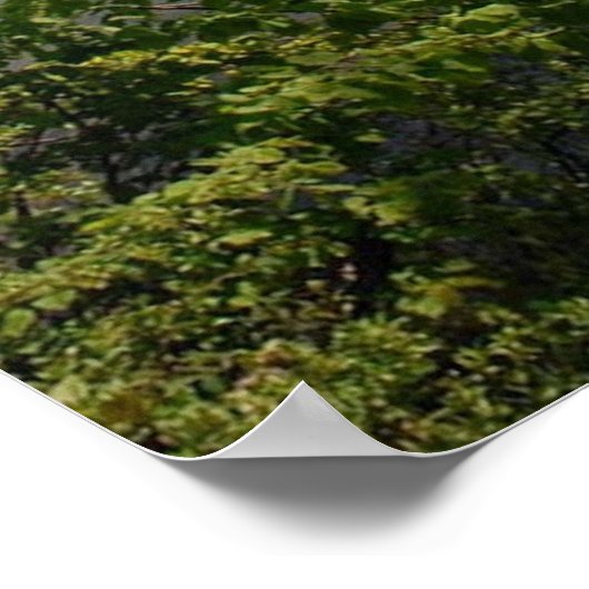 Van het Poster van het landschap van het meer van (Hoek)