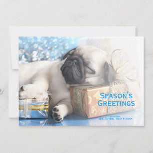 Van het puppypug en Kerstmis van de slaap giften Feestdagenkaart