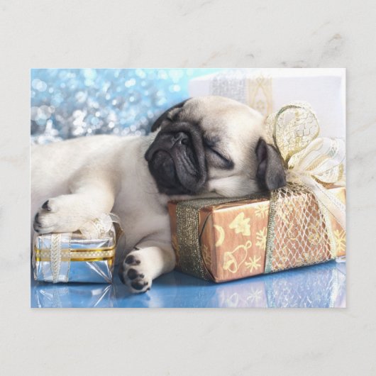 Van het puppypug en Kerstmis van de slaap giften Feestdagenkaart (Voorkant)