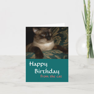 Van je kat - Siamese kat Birthday Kaart