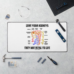 Van je nieren houden ze onmisbaar voor het leven n bureaumat