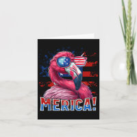 van juli Amerika Flamingo Amerikaanse vlag Kinder