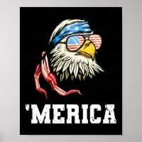 van juli Amerika Vlag Amerikaanse Kale Adelaar Pat