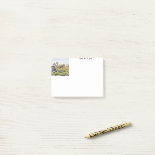Van mij tot Ewe Post-it® Notes (Op bureau)