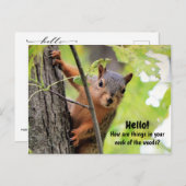 Van mijn nek van de Bossen tot uw Briefkaart (Voorkant / Achterkant)